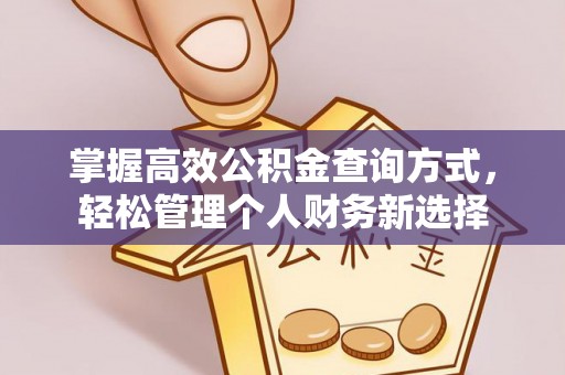 新乡掌握高效公积金查询方式，轻松管理个人财务新选择